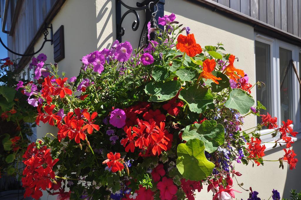 The Bosham B&B Exterior foto